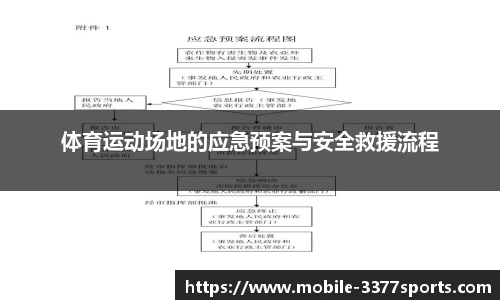体育运动场地的应急预案与安全救援流程