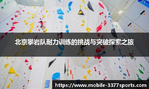 3377体育官网