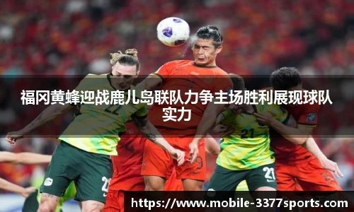 3377体育官方网站